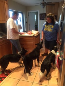 Geoff and Susan prepare Christmas dinner for the granddogs
